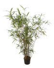 PSEUJAPC15010_H