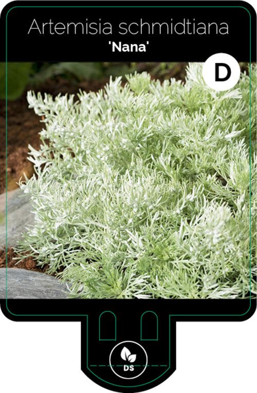 ARTESNAP9F