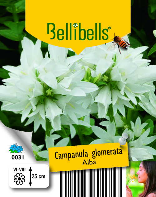 CAMPALBP10.5