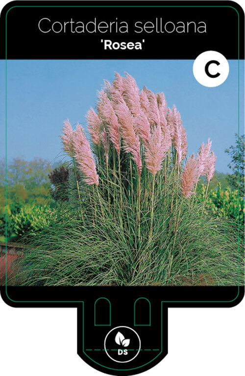 CORTROSP9F