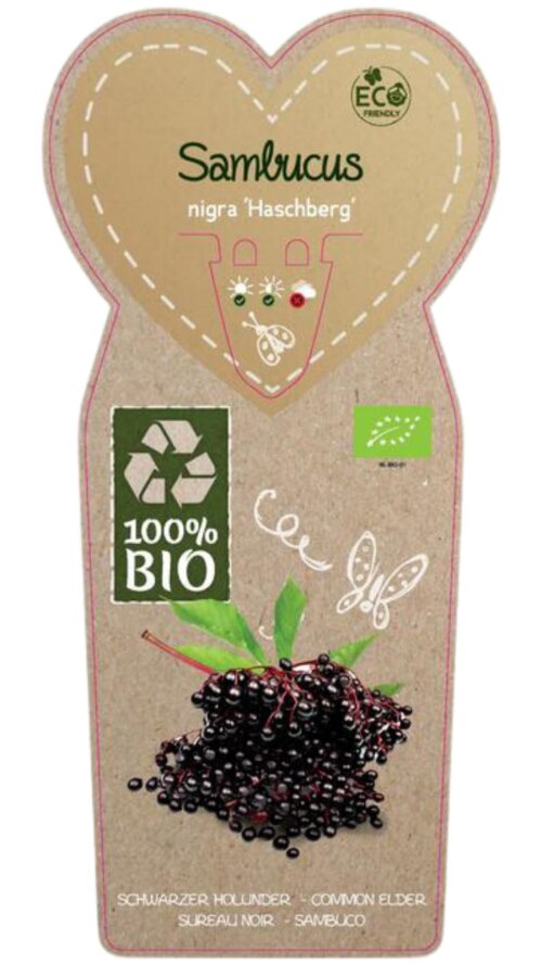 SAMBHASBIOC2